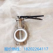 D71X四氟对夹蝶阀